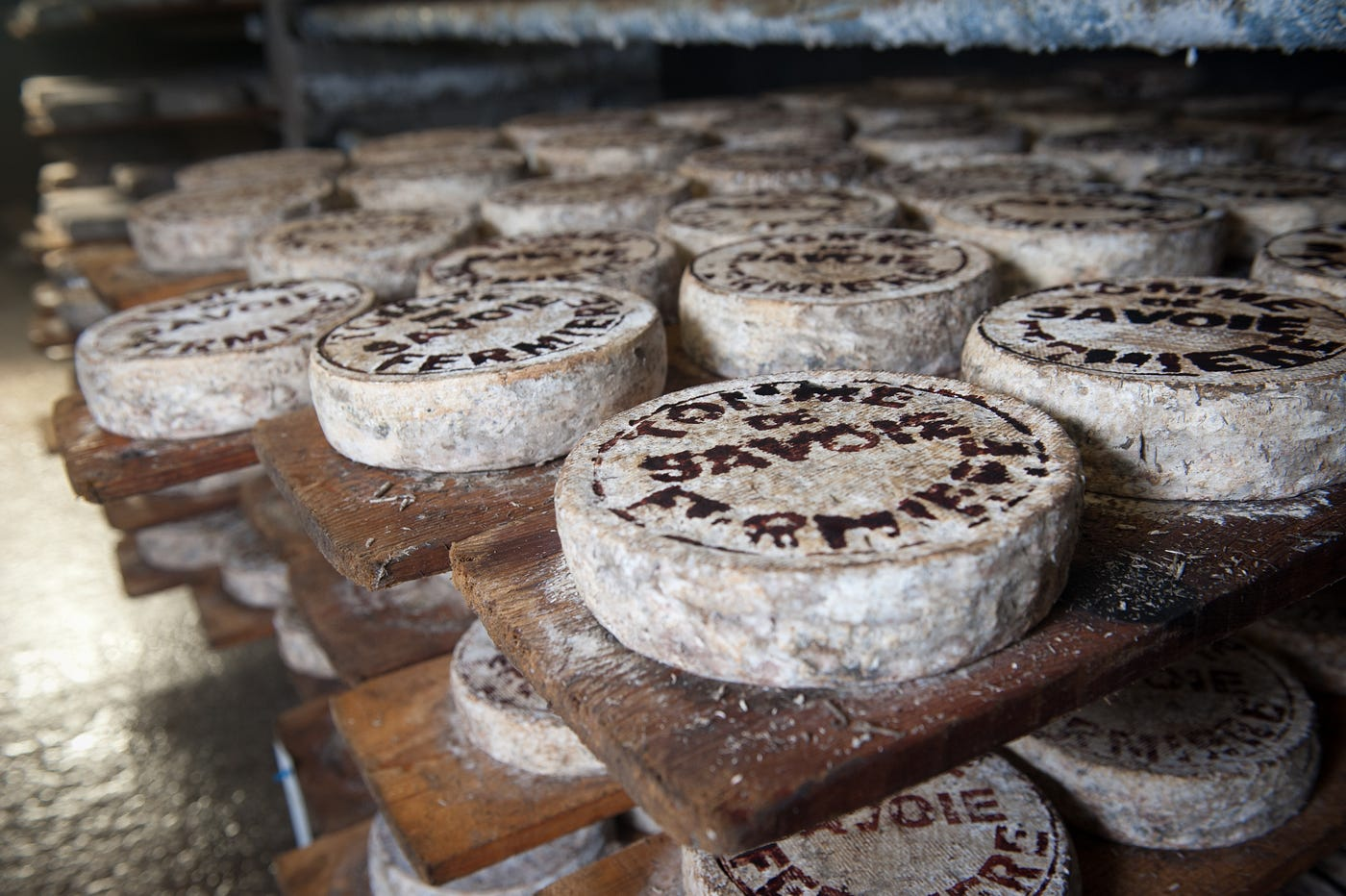 Hard-aged Cheeses